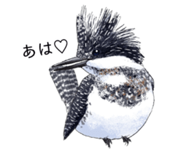 japanese bird 3 sticker #15812254