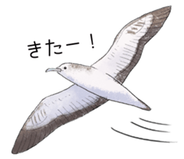 japanese bird 3 sticker #15812256