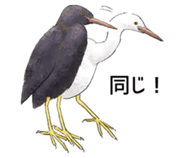 japanese bird 3 sticker #15812266