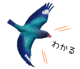 japanese bird 3 sticker #15812267
