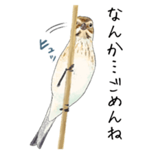 japanese bird 3 sticker #15812269