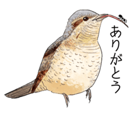 japanese bird 3 sticker #15812272