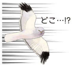 japanese bird 3 sticker #15812275