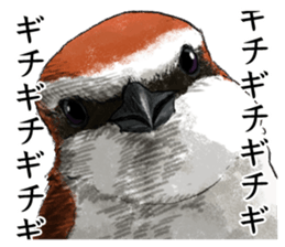 japanese bird 3 sticker #15812280