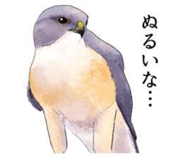 japanese bird 3 sticker #15812281
