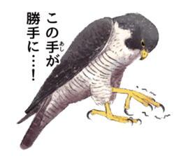 japanese bird 3 sticker #15812285