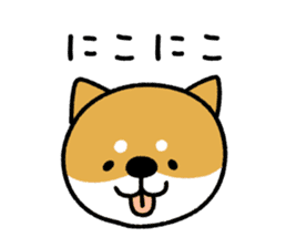 Marushiba cute sticker sticker #15812684