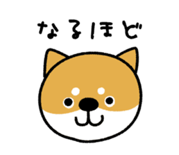 Marushiba cute sticker sticker #15812700