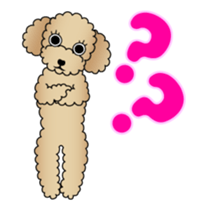Animated! The Toy Poodle stickers sticker #15814940