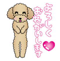 Animated! The Toy Poodle stickers sticker #15814942