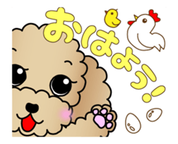 Animated! The Toy Poodle stickers sticker #15814948