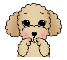Animated! The Toy Poodle stickers sticker #15814951