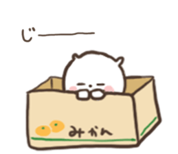 [kitten]1 sticker #15815728