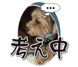 KOROKORO Koron sticker #15815867
