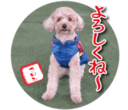 KOROKORO Koron sticker #15815868