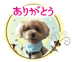 KOROKORO Koron sticker #15815869