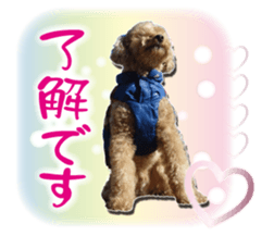 KOROKORO Koron sticker #15815870