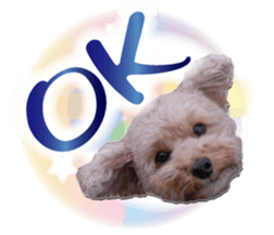 KOROKORO Koron sticker #15815871