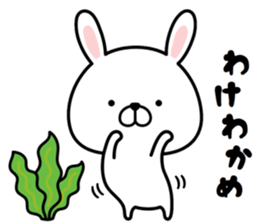 Pyon usa 2 (Can be used everyday) sticker #15817095