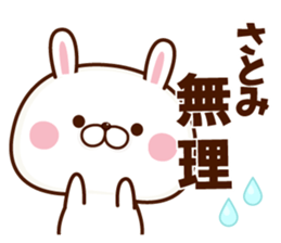 NAME Sticker Satomi sticker #15818345