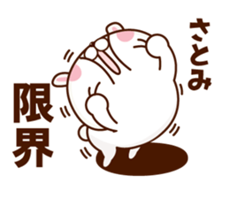 NAME Sticker Satomi sticker #15818348