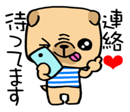 Very pretty pug! sticker #15820971