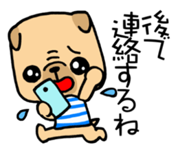 Very pretty pug! sticker #15820972