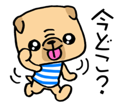 Very pretty pug! sticker #15820982