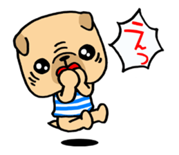 Very pretty pug! sticker #15820983