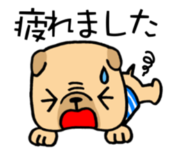 Very pretty pug! sticker #15820984