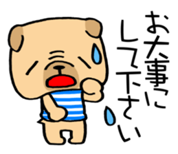 Very pretty pug! sticker #15820989