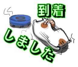 stable plain-looking cat honorific sticker #15821580