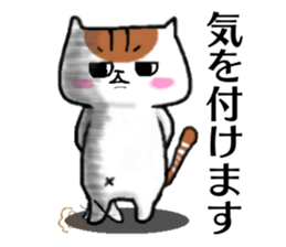 stable plain-looking cat honorific sticker #15821585