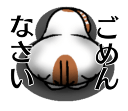 stable plain-looking cat honorific sticker #15821589