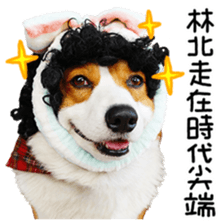 cute corgi is coming sticker #15821783