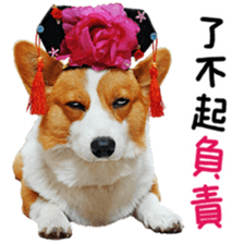 cute corgi is coming sticker #15821784