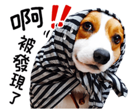 cute corgi is coming sticker #15821791