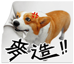 cute corgi is coming sticker #15821793