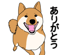 Asahi &Robin sticker #15822788