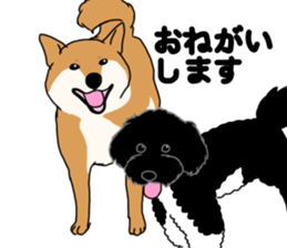 Asahi &Robin sticker #15822789