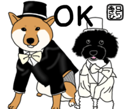 Asahi &Robin sticker #15822790