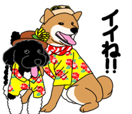 Asahi &Robin sticker #15822791