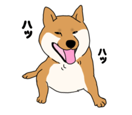 Asahi &Robin sticker #15822800