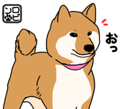 Asahi &Robin sticker #15822802