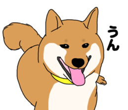 Asahi &Robin sticker #15822804