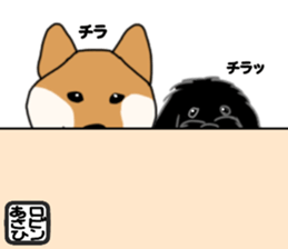 Asahi &Robin sticker #15822806