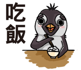 penguin dongdong sticker #15823378