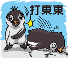 penguin dongdong sticker #15823380