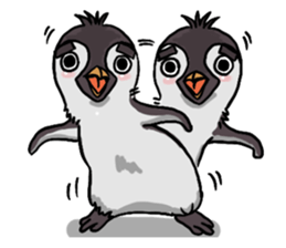 penguin dongdong sticker #15823381