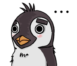 penguin dongdong sticker #15823382